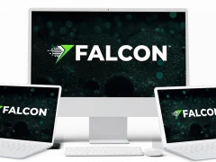 Falcon Review