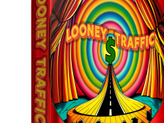 Looney Traffic Review