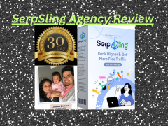 SerpSling Agency Review