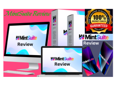 MintSuite Review